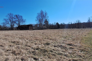 Gostyń