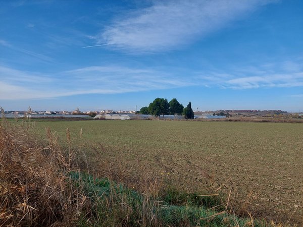 Villanueva de Gallego,  ES