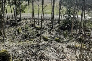 Kivistö-Kaukastie 17, Ohkola, Mäntsälä