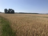 Varėnos r. sav. Aukštakalnio k.