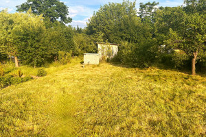 Nowa Sól