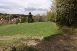 Wysoka