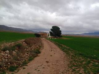 Jumilla,  ES