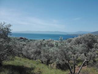 Aidipsos,  GR