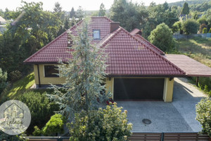 Mosina