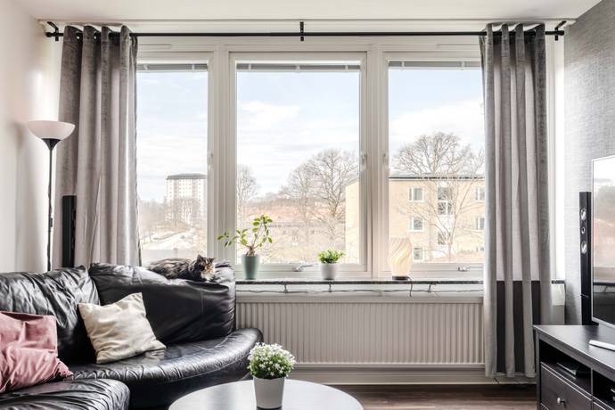 Uddevalla, Uddevalla kommun