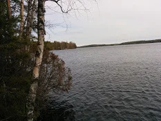 Ei tiedossa, Vanajajärvi, Hankasalmi