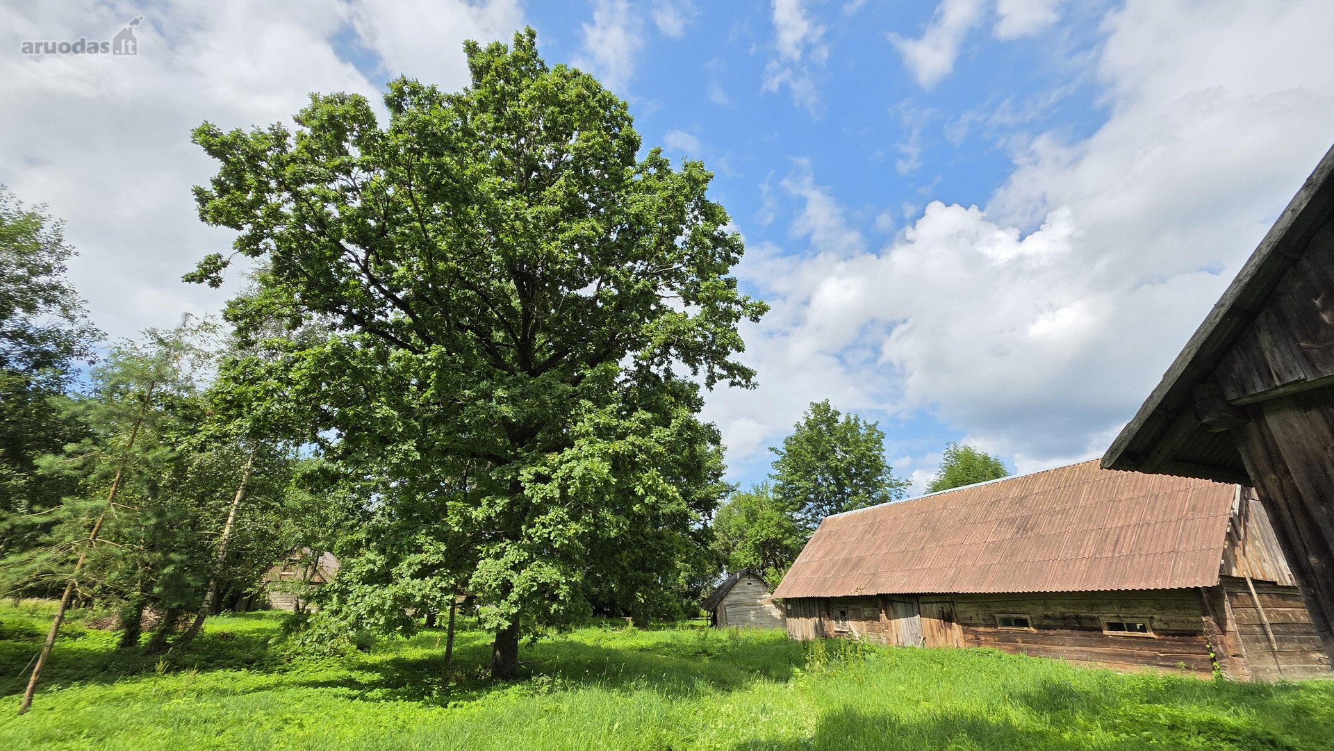 Anykščių r. sav. Rašimų k.