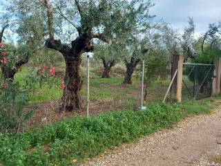 Amaliada,  GR