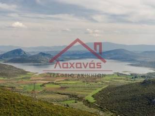 Aliartos,  GR