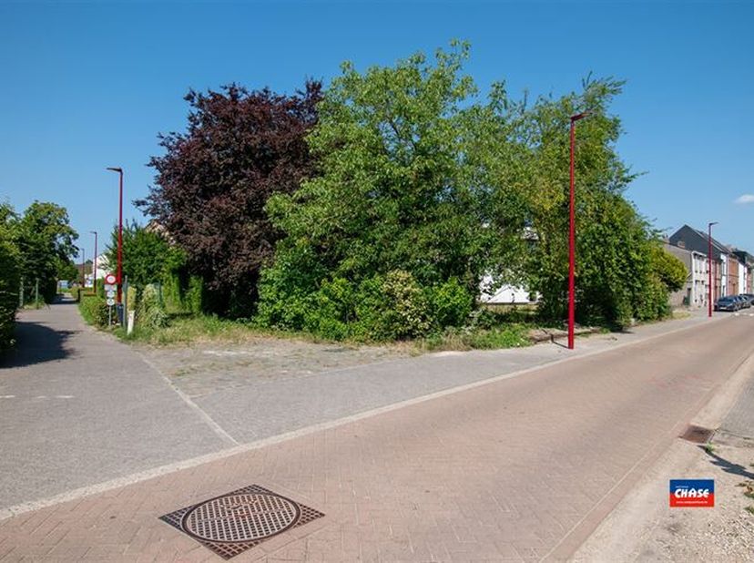 Kinderstraat 60 2547 Lint
