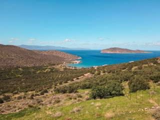 Ierapetra,  GR