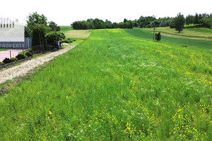 Pilzno
