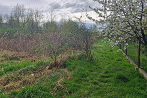 Nowy Sącz