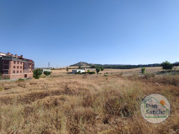 Cistérniga,  ES
