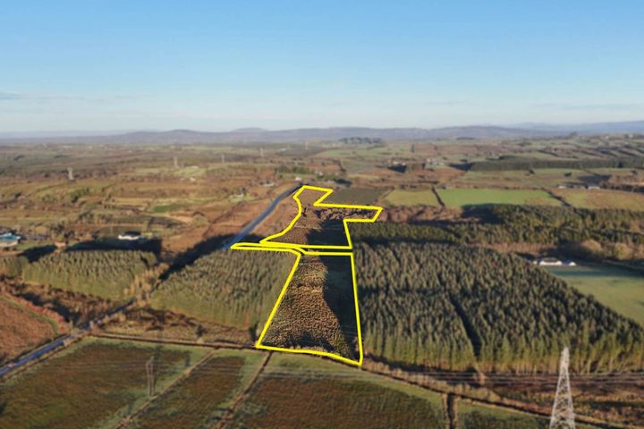 16.4 Acres (approx) at Cloonshaghan, Boyle, Co. Roscommon