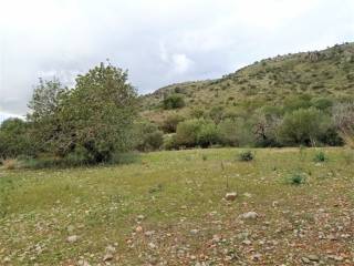 Sant Llorenç des Cardassar,  ES