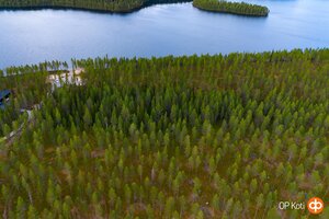 Ronkaisenrannantie 27, 93800 KUUSAMO