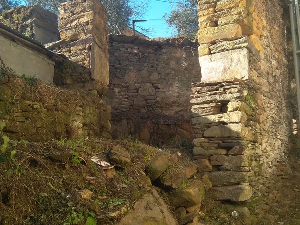Nespereira,  PT