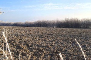 Skała
