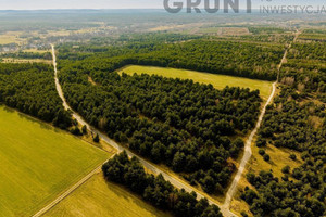 Dąbrowa Górnicza
