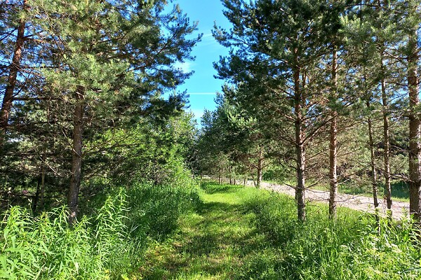 plot for sale, land-profit land - Sae, Vinni vald, Lääne-Virumaa