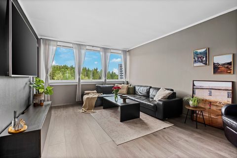 Wettergreens veg 2, Skien