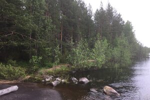 Hirvilahdentie, Sarkkila, Lieksa