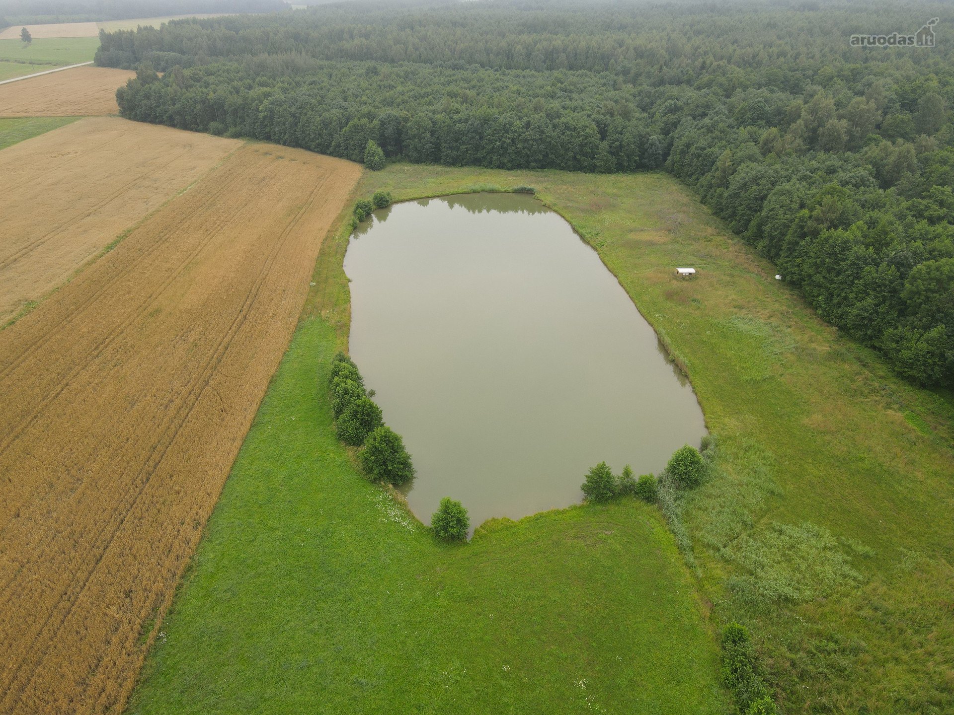 Jurbarko r. sav., Gricių k. Parko g.