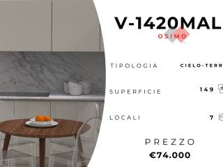 Osimo,  IT