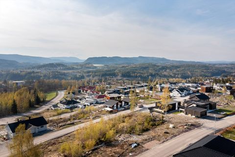 Friggs vei, Åmot