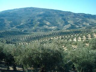 Villacarrillo,  ES
