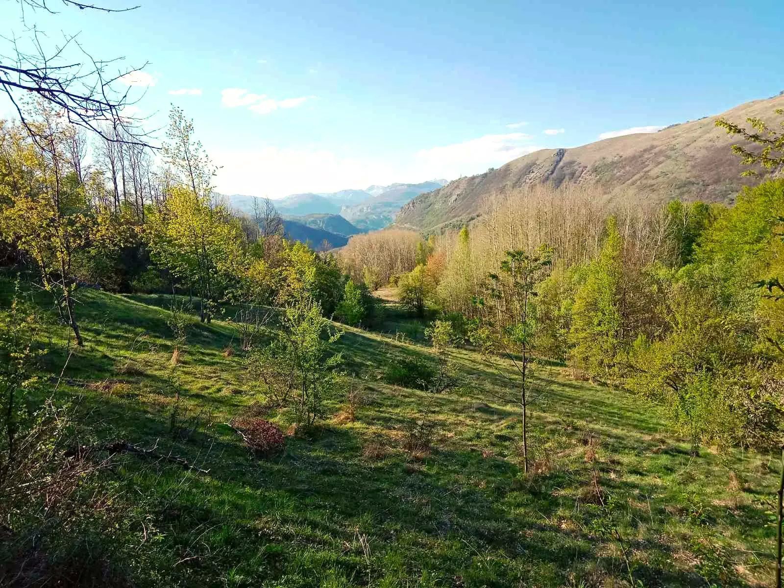 Northern Region, Savnik