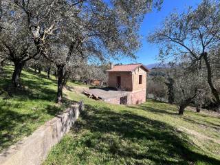 Terni,  IT