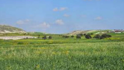 Athienou, Larnaca