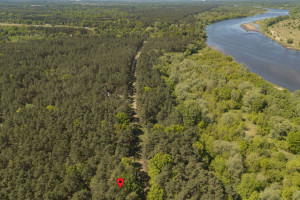 Wesoła
