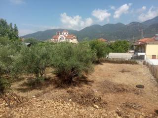 Paravola,  GR