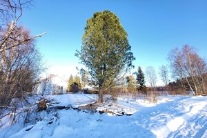 Riistatie 3, Miettimäki, Oulainen