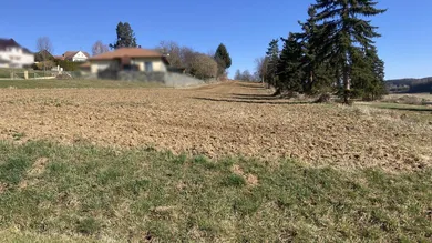 7534 Olbendorf