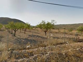 Orihuela,  ES