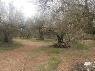 Ulldecona,  ES