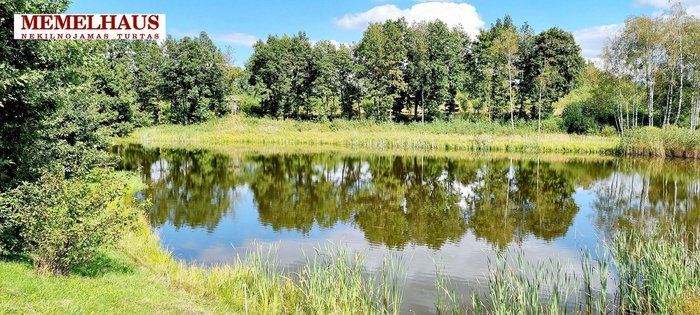 Rietavas, Kaupų k., prieš 1 val.
