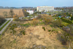 Tarnowskie Góry