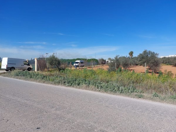 Utrera,  ES