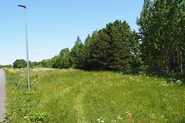 plot for sale - Tuule tee 21, Ilmandu, Harku vald, Harjumaa