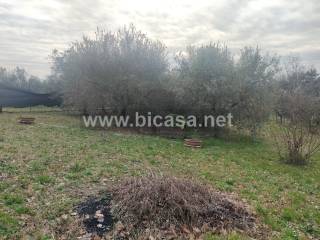 Pesaro,  IT