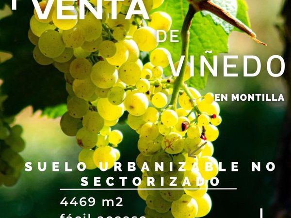Montilla,  ES