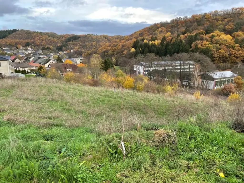 55767 Niederbrombach, Birkenfeld (Kreis)