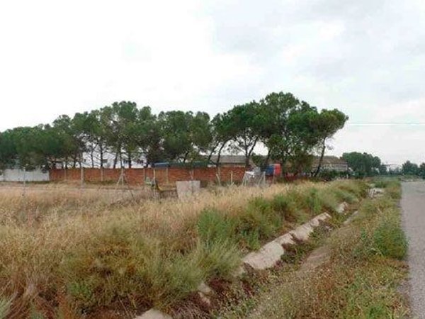 Alfajarin,  ES