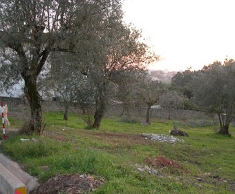 Santo António dos Olivais,  PT